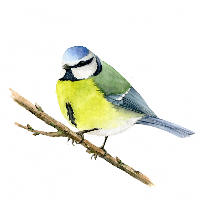 Karl-Göran Gunnarsson